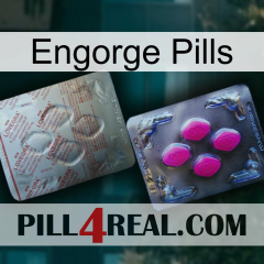 Engorge Pills 38
